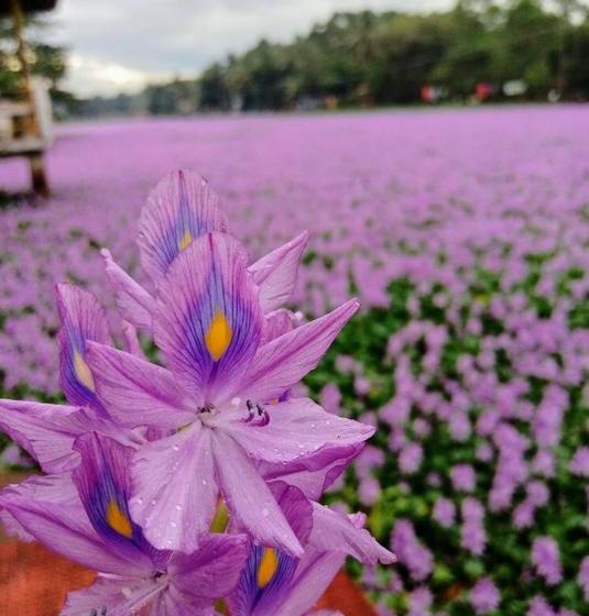 Hostel Carpe Diem Bnb 18