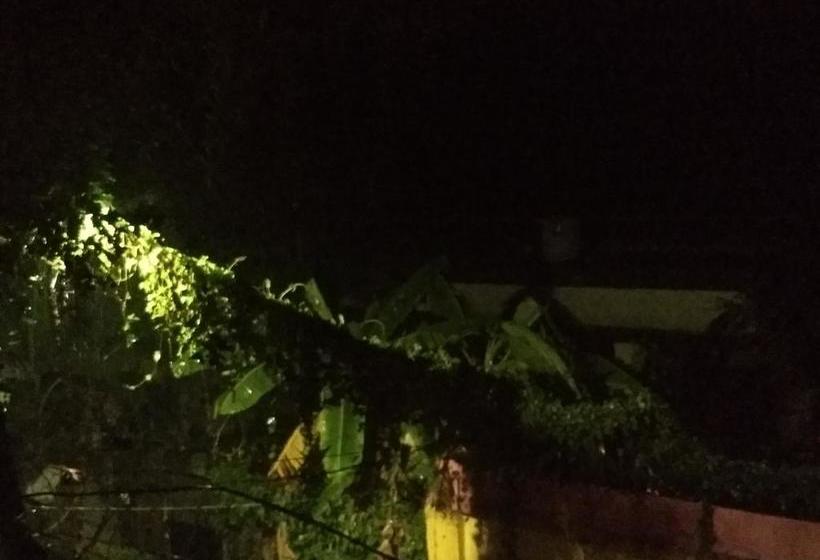 Hostel Carpe Diem Bnb 6