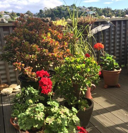 Bed and Breakfast Valley Heights 12