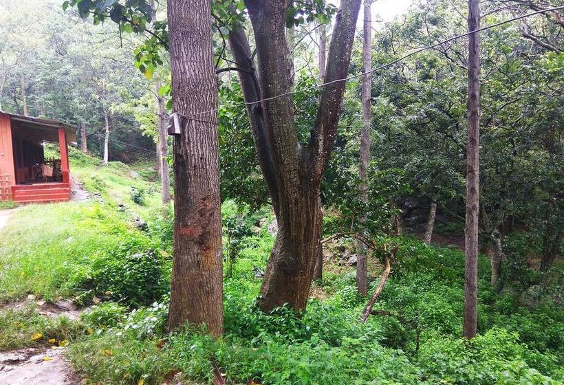 Secret Valley Jungle Resort 11