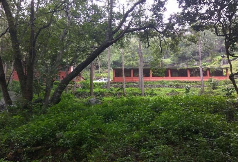 Secret Valley Jungle Resort 12