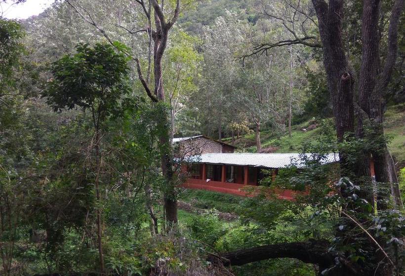 Secret Valley Jungle Resort 13