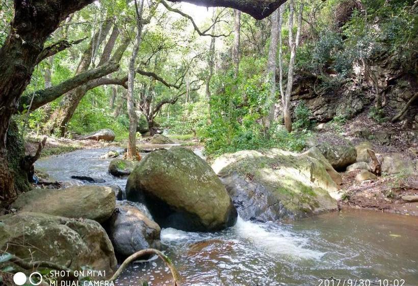 Secret Valley Jungle Resort 17