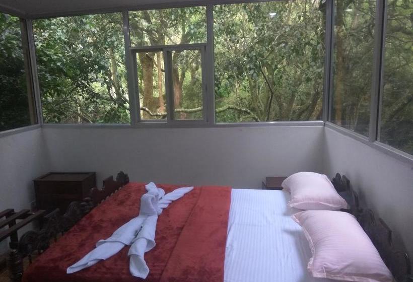 Secret Valley Jungle Resort 3