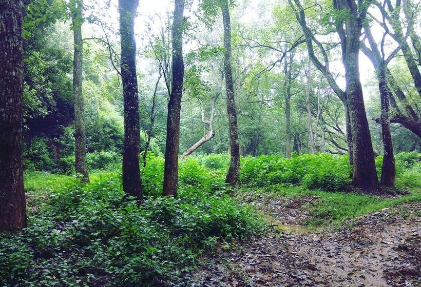 Secret Valley Jungle Resort 4