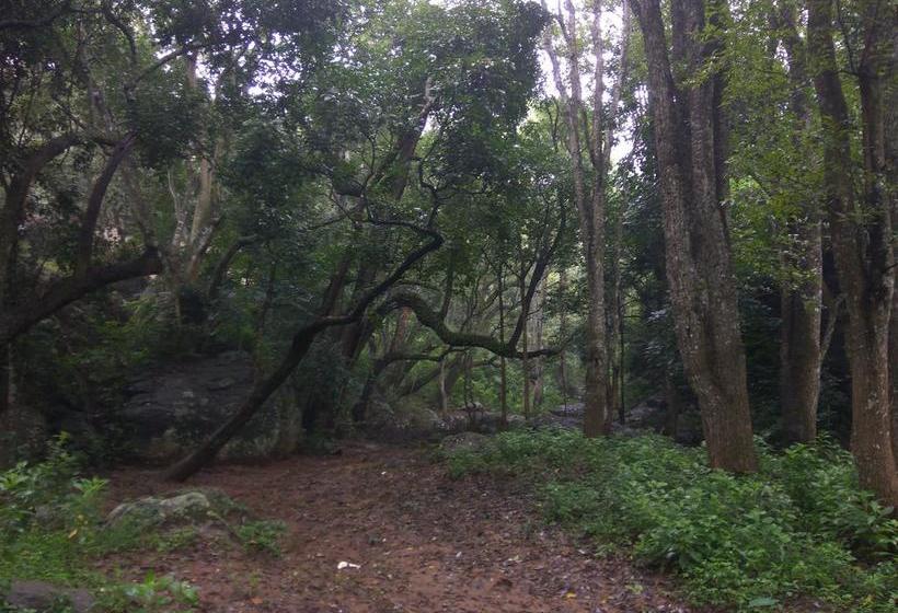 Secret Valley Jungle Resort 5