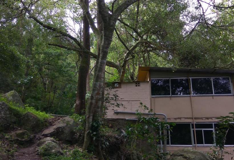 Secret Valley Jungle Resort 6