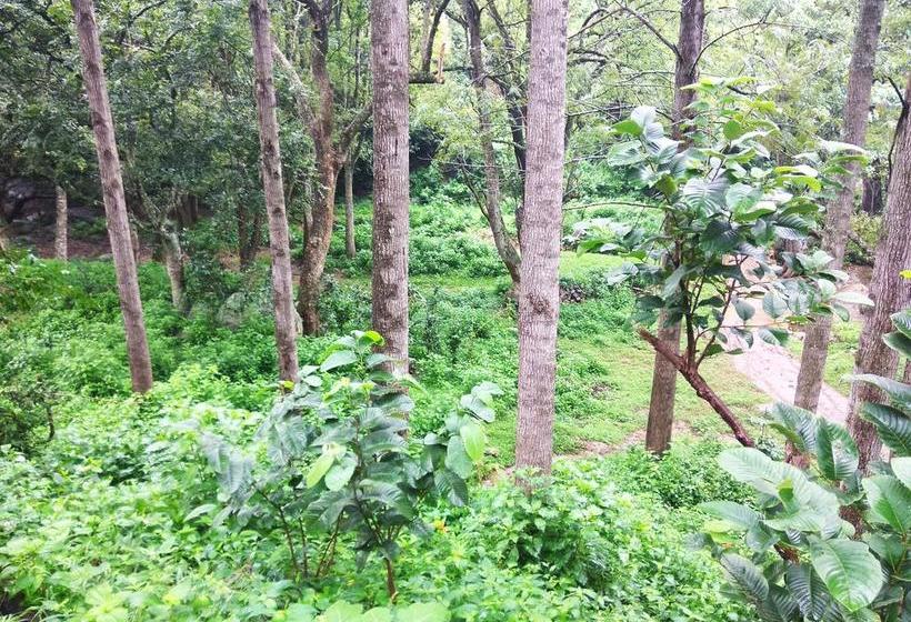 Secret Valley Jungle Resort 7