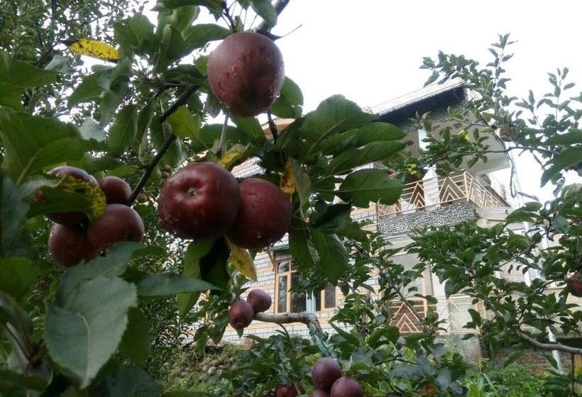 Resort Manali Mountain Home 18