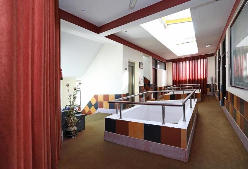 Oyo 9705 Hotel Paradise Residency 18