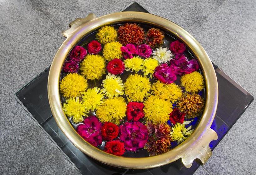 Hotel Oyo 7627 Royal Plaza 9