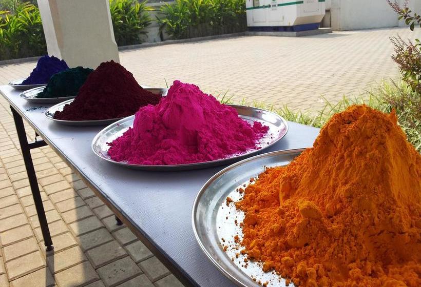 Resort Plush Retreat 6