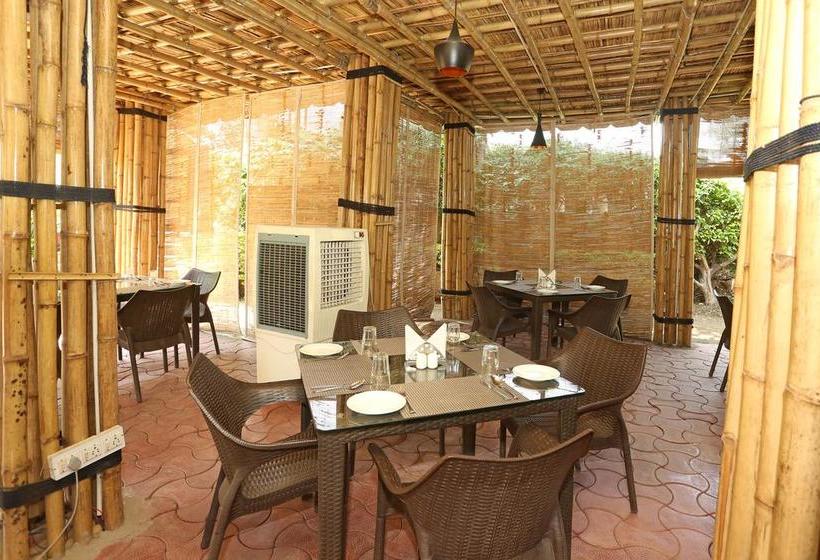 Oyo 9666 Hotel The Fateh 5