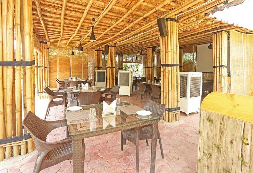 Oyo 9666 Hotel The Fateh 7