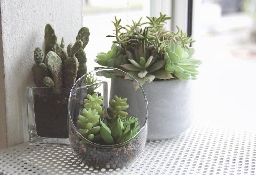 Bed and Breakfast Casa Blanca Krabi 8