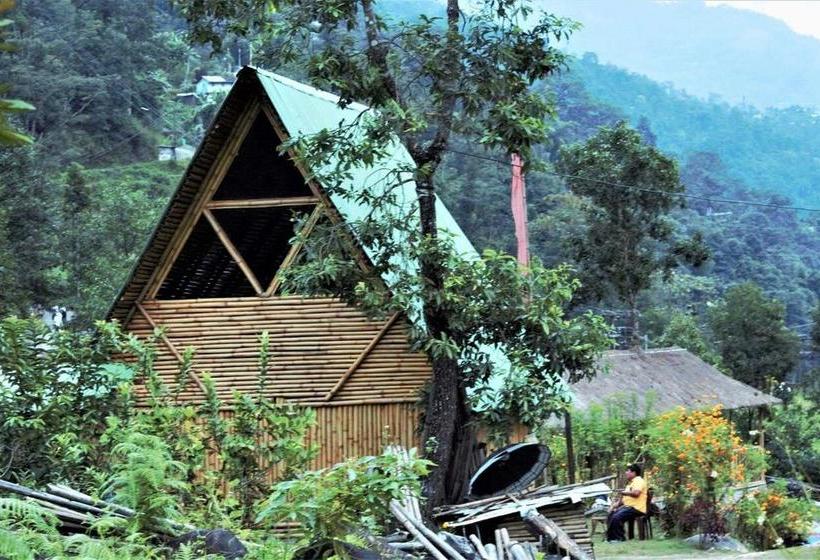 Bamboo Resort And Atv Park 1