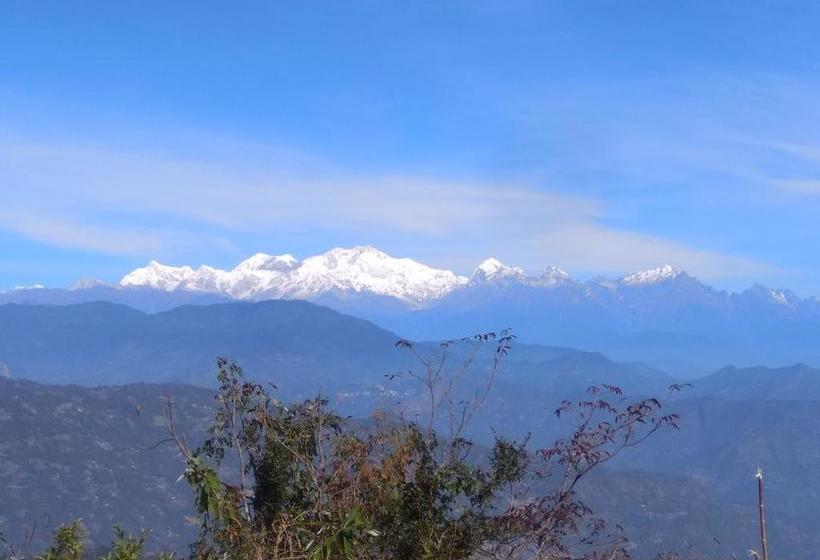 Bamboo Resort And Atv Park 11