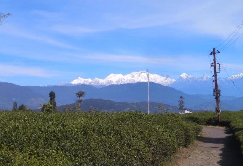 Bamboo Resort And Atv Park 12