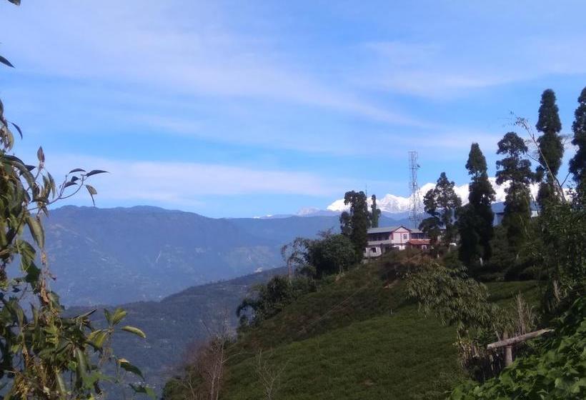 Bamboo Resort And Atv Park 13