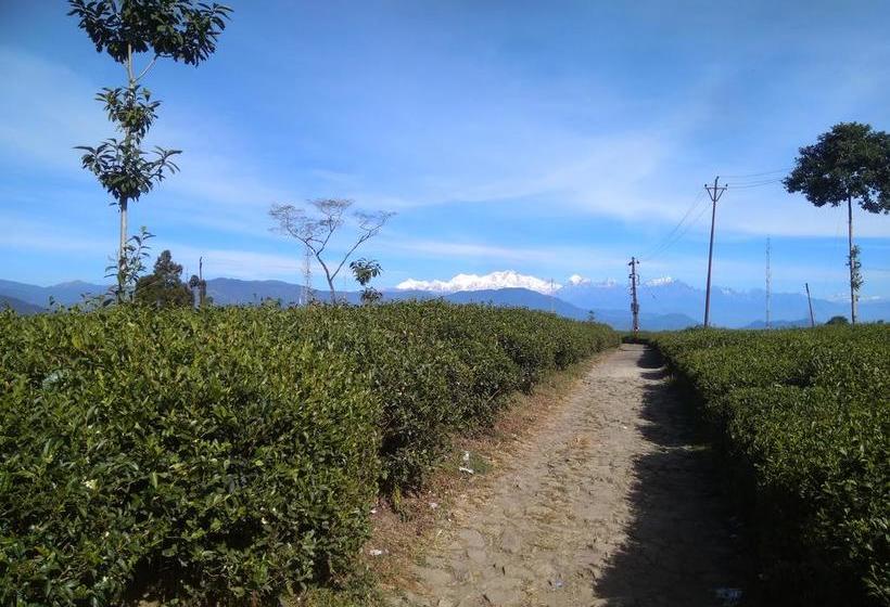 Bamboo Resort And Atv Park 14