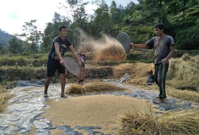 Bamboo Resort And Atv Park 7