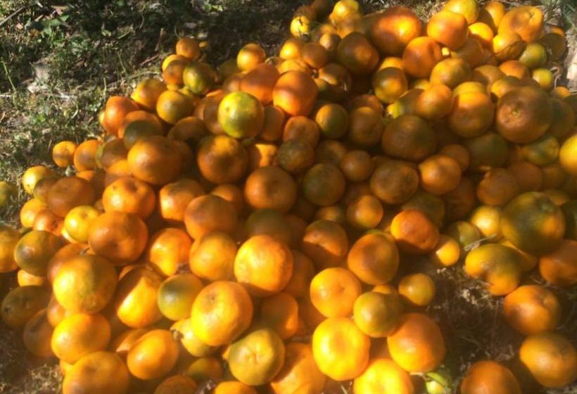 Bamboo Resort And Atv Park 8