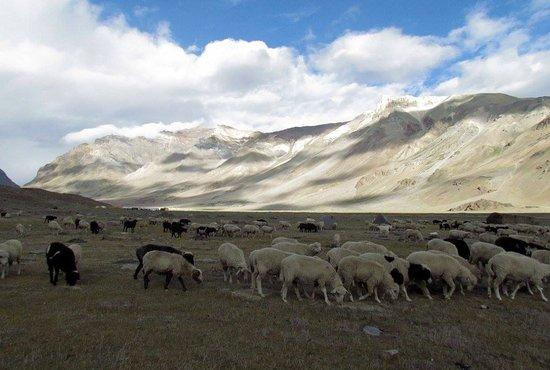 Bed and Breakfast Mulkila Adventure Camp 13