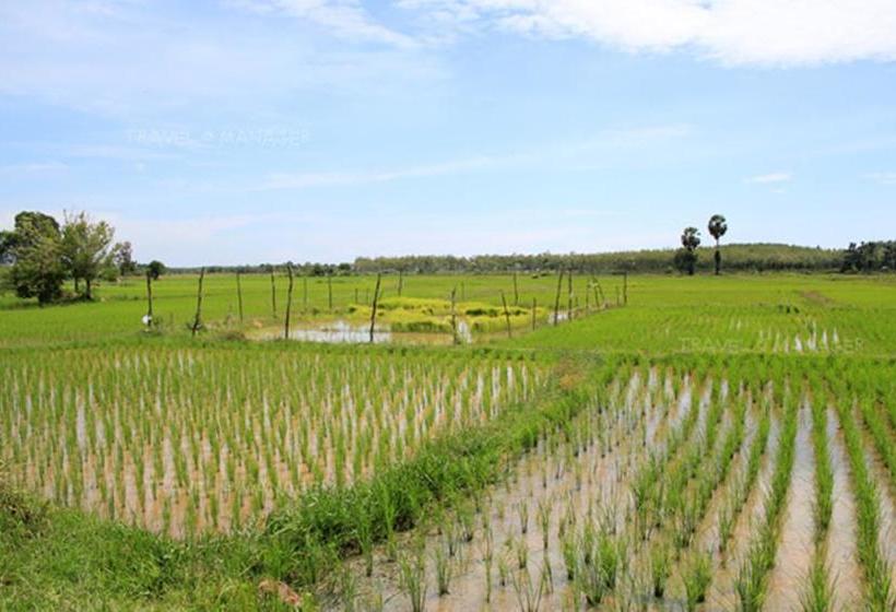 Nisarine Hostel @koh Klang 5