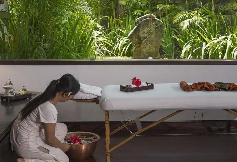 Resort Yoga And Spa Luxury Retreat 8