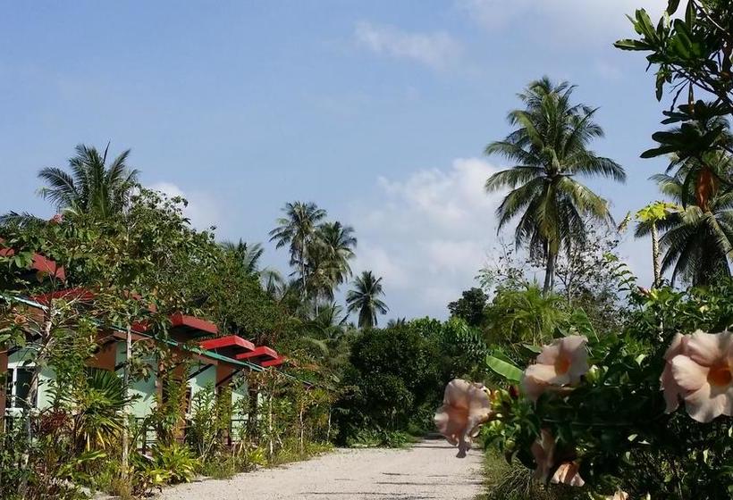 Suankafae Resort Surat Thani