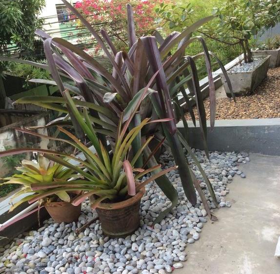 Nesuto Hostel & Cafe Ramkamhaeng 52 18