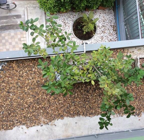 Nesuto Hostel & Cafe Ramkamhaeng 52 19