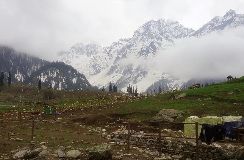 Bed and Breakfast Houseboat Panzey 10