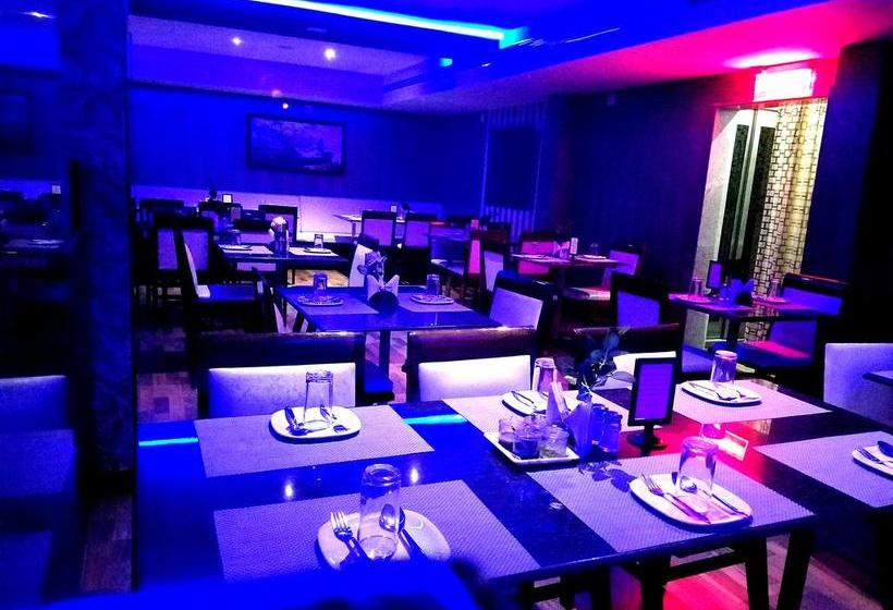 Hotel Venky S Delight 11