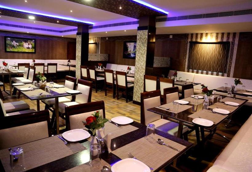 Hotel Venky S Delight 9