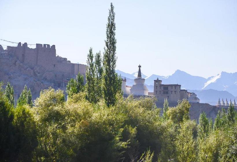 Resort The Driftwood Hotel Leh 12