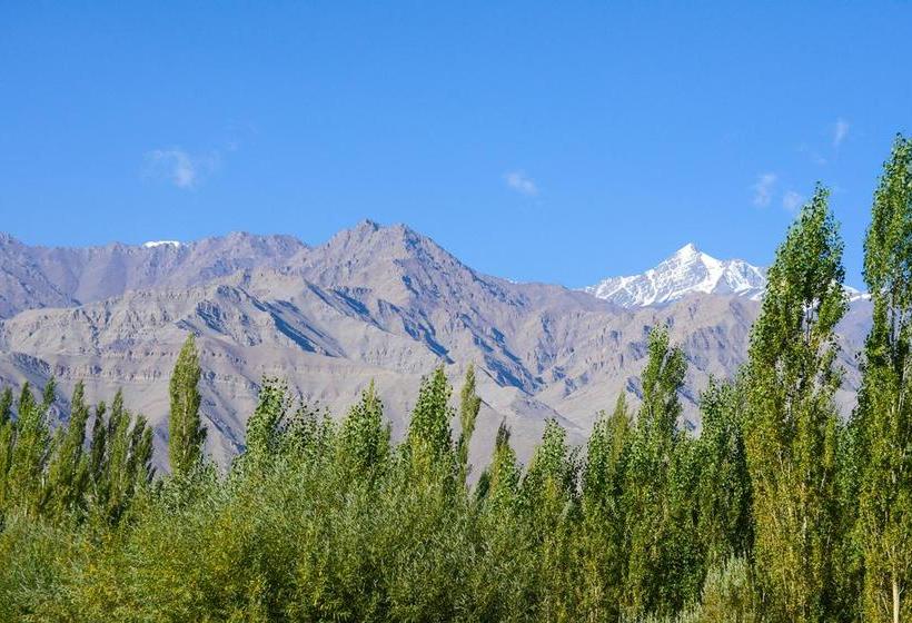 Resort The Driftwood Hotel Leh 13