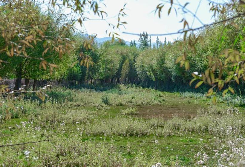 Resort The Driftwood Hotel Leh 15