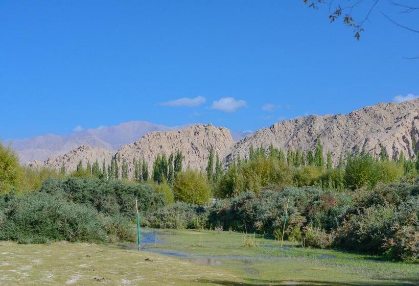 Resort The Driftwood Hotel Leh 16