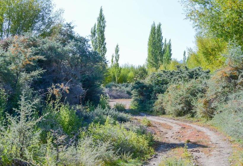 Resort The Driftwood Hotel Leh 17