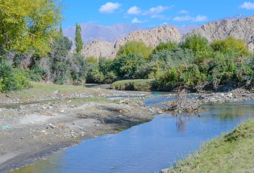 Resort The Driftwood Hotel Leh 19