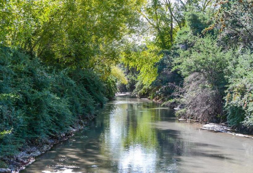 Resort The Driftwood Hotel Leh 20