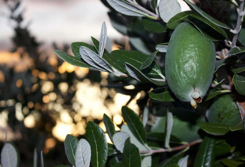 Resort Kalldeen Luxury Accommodation 13