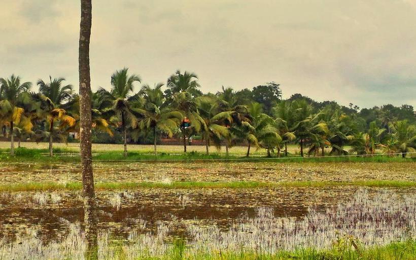 Resort Santhitheeram Holistic Health Center 5