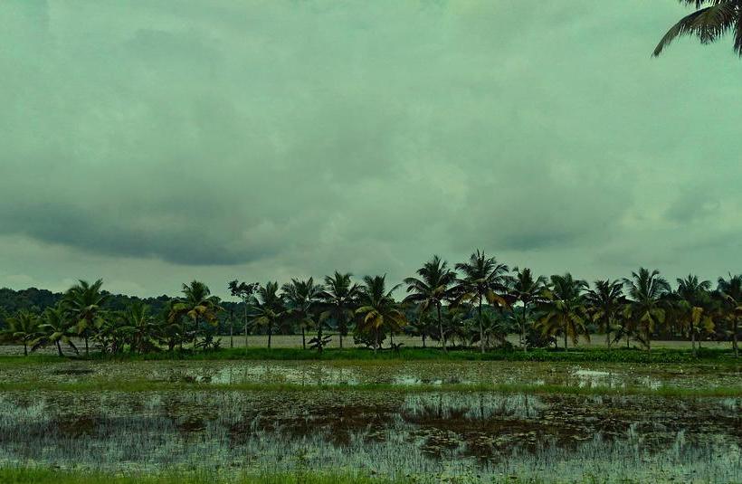 Resort Santhitheeram Holistic Health Center 8