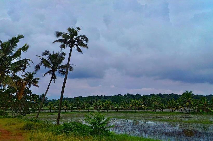 Resort Santhitheeram Holistic Health Center 9