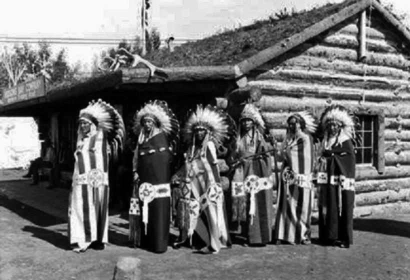 Bed and Breakfast Cocola Palm