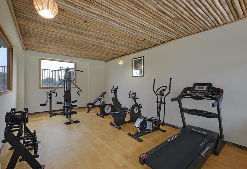 Resort The Baagh Ranthambhore 16