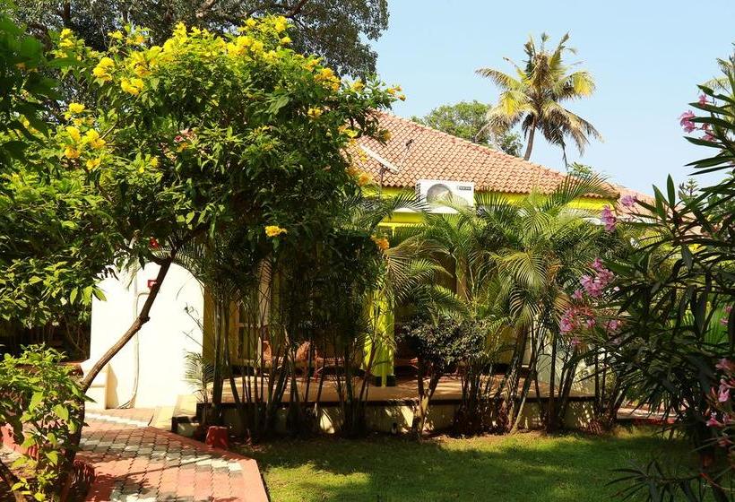 Nextel Beach Resort 13