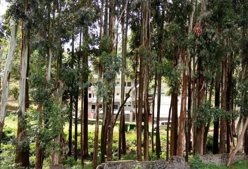 Resort Royal Saphire 18